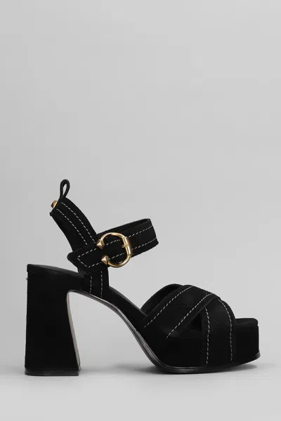ASH MELANY SANDALS IN BLACK SUEDE