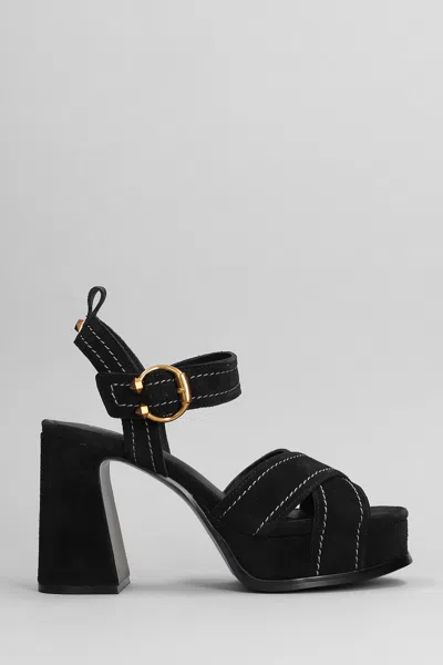 Ash Melany Sandals In Black Suede In White