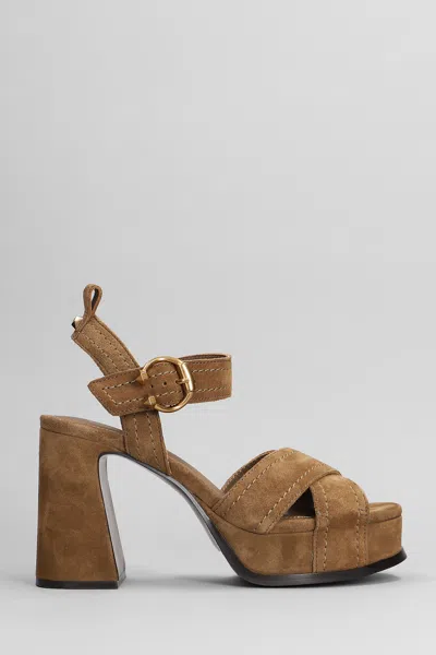 Ash Melany Ankle Strap Platform Sandal In Brown