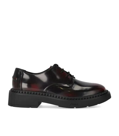 Ash Mercury Black/burgundy Lace-up Shoe In Multi