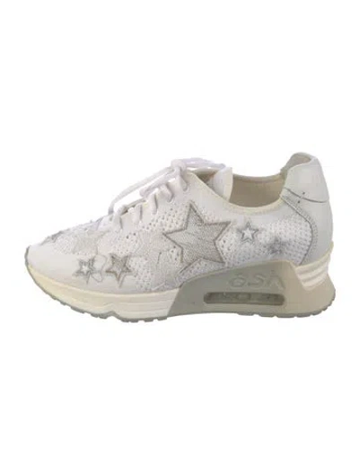 Pre-owned Ash Mesh Graphic Print Sneakers In Grey