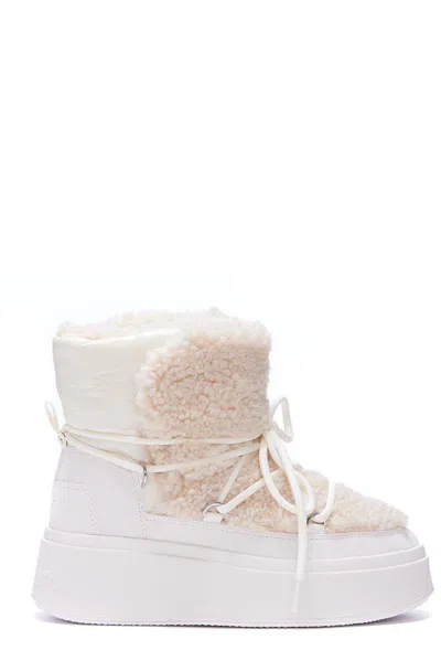 Ash Moboo Lace-up Ankle Boots In White