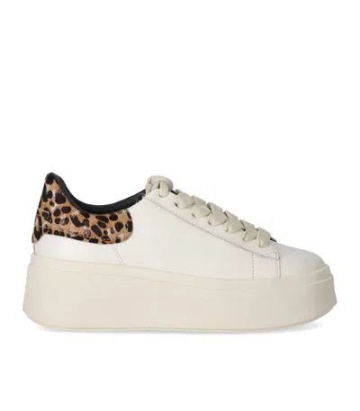 Ash Moby Animalier Sneaker In White