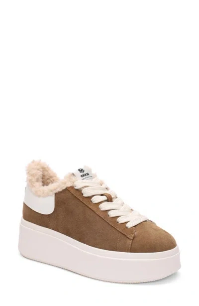 Ash Moby Be Kind Faux Fur Lined Sneaker In Antilope/gardenia