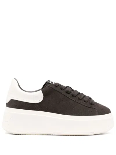 Ash Thick Sole And Low-cut Casual Shoes In Grey