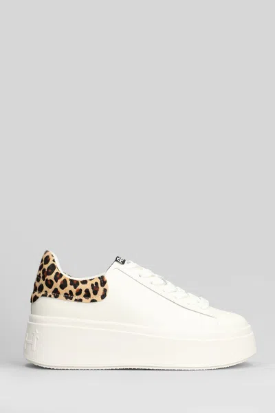 Ash Moby Sneakers In White Leather