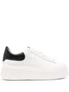 Ash Moby White And Black Sneaker In White
