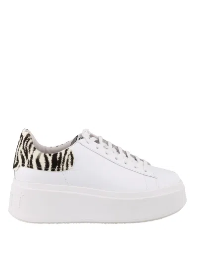 Ash Moby Sneakers In White