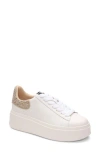 Ash Moby Sneakers In White/biscuit