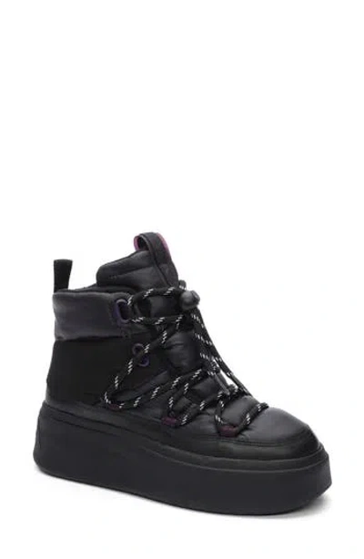 ASH ASH MONTANA PLATFORM SNEAKER