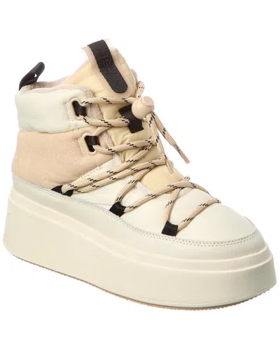 ASH ASH MONTANA SUEDE PLATFORM BOOTIES