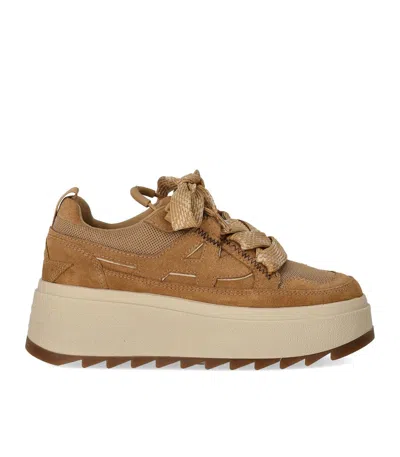 Ash 60mm Platform Logo-detail Sneakers In Brown