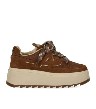Ash Movie Suede Brown Sneaker In Multi