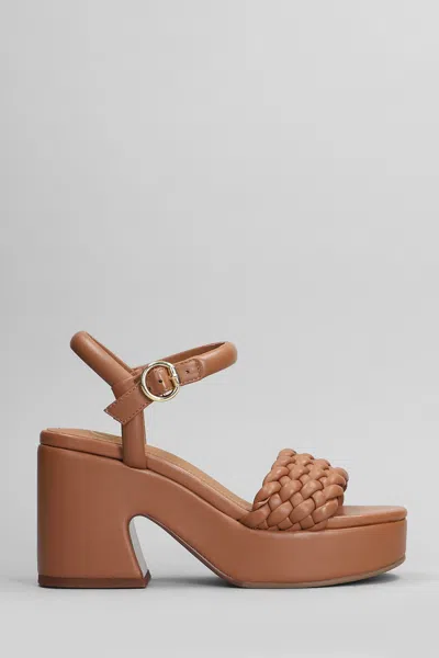Ash Braided Strap Chunky Heel Platform Sandals In Brown
