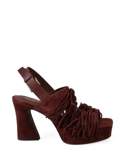 Ash Oprah Sandals In Brown