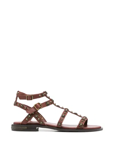 Ash Pacha Stud-embellished Gladiator Sandals In Brown