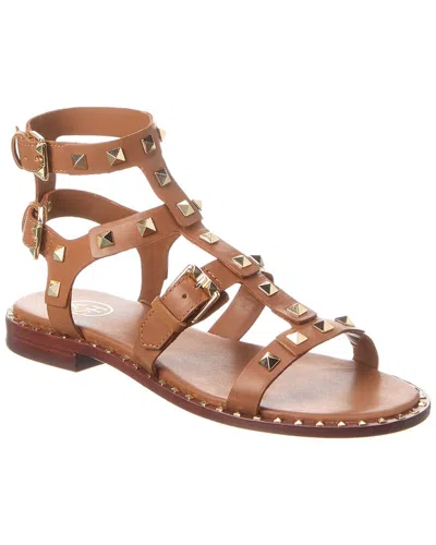 Ash Pacific Leather Sandal In Brown