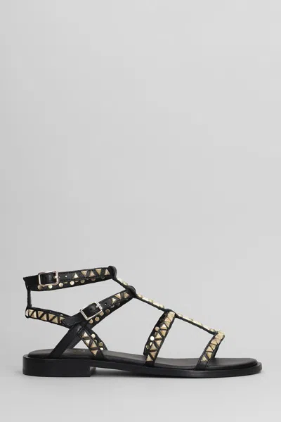 ASH ASH PANDORA FLATS