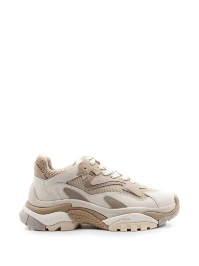 Ash Panelled Sneakers In Multi