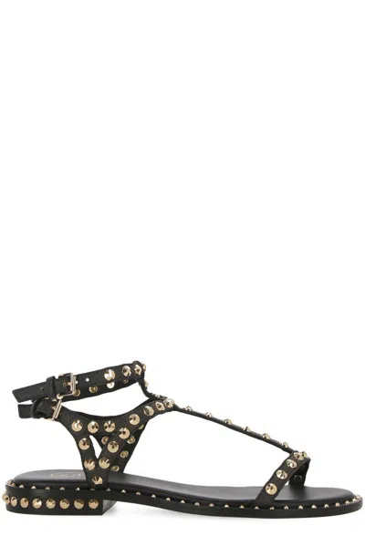 Ash Panic Studded Sandals In Black