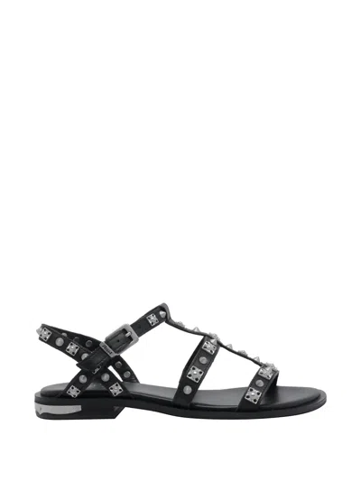Ash Parka Stud-embellished Sandals In Black