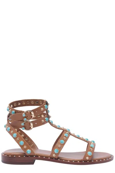 Ash Passion Stud Embellished Sandals In Cinnamon/ariel Gold