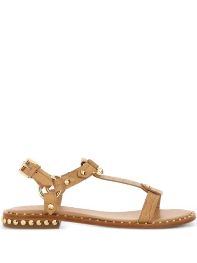 Ash Patsy Bis Studded Leather Sandals In Brown