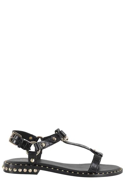 Ash Patsy Stud Ankle Strap Sandal In Black