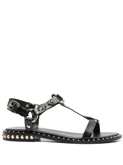 Ash Patsy Stud Ankle Strap Sandal In Black