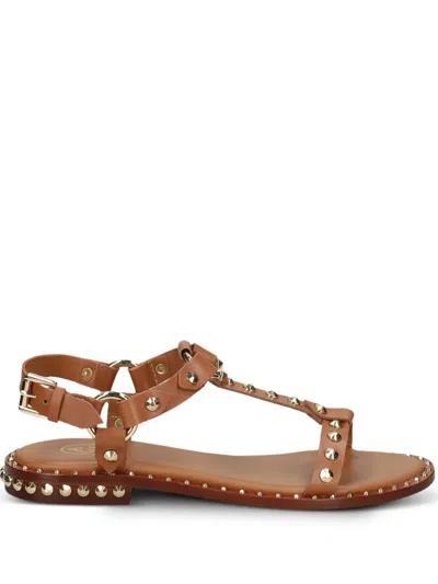 Ash Patsy Stud-embellished Sandals In Brown