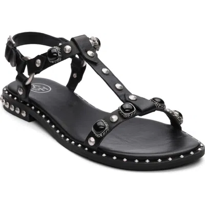 Ash Pebble Stud Embellished Ankle Strap Sandal In Black