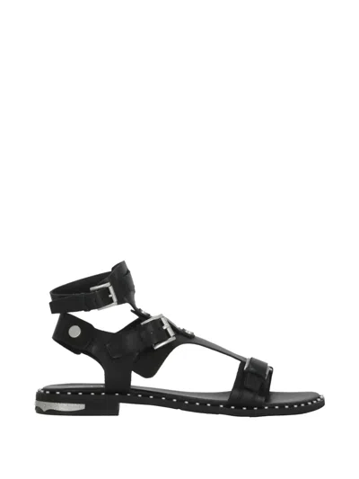 Ash Penny Sandals In Black