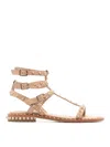 Ash Stud-embellished Leather Flat Sandals In Nude & Neutrals
