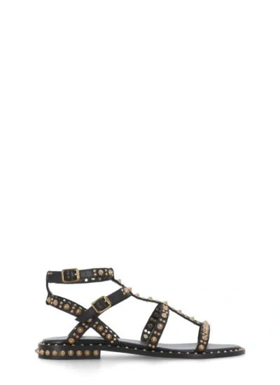 ASH PEPSY SANDAL