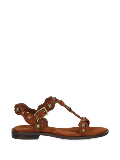 Ash Phanny Studded T-bar Sandals In Brown