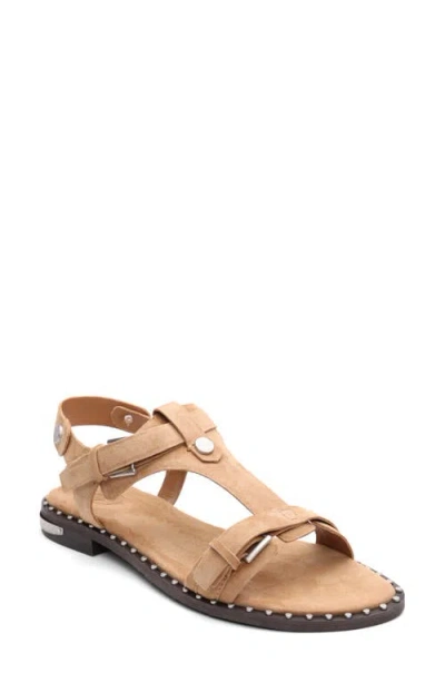 Ash Piper Sandal In Brown