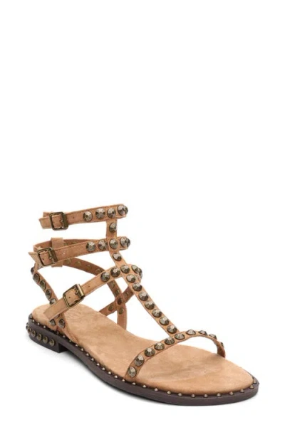 Ash Play 2 Gladiator Sandal In Brown