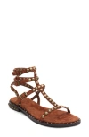 Ash Play Studded-strap Sandals In Brown