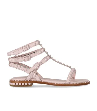 Ash Play Bis Pink Flat Sandal