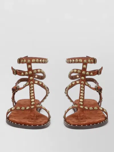 Ash Play Flat Sandals Ankle Strap Studs In Brown