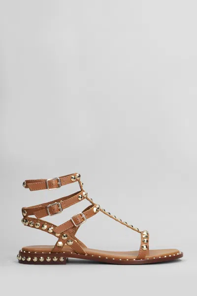 Ash Precious Sandals In Brown