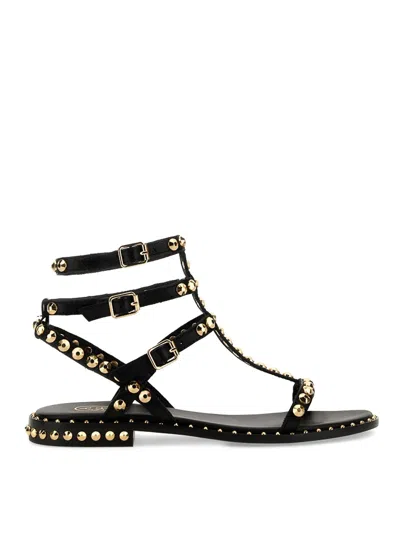 Ash Women's Pulp Studded Leather Sandals In Brown