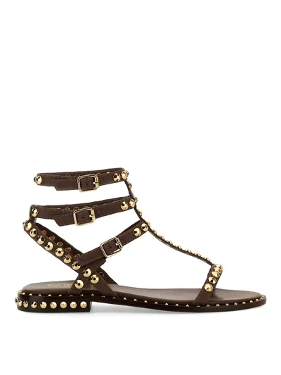 Ash Women's Pulp Studded Leather Sandals In Brown