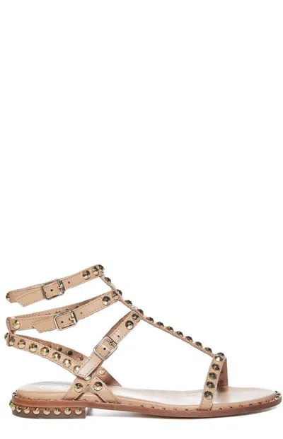 Ash Play Stud Embellished Sandals In Brown