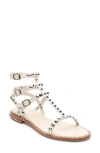 Ash Play Studded Gladiator Sandal In Talc