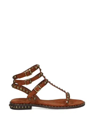 Ash Play Stud-embellished Sandals In Brown