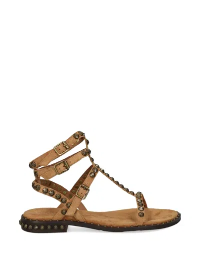 Ash Play Stud-embellished Sandals In Brown