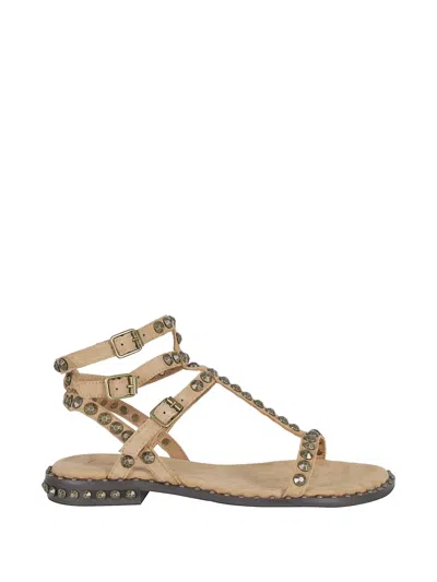 Ash Play Stud-embellished Suede Sandals In Brown