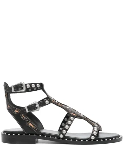 Ash Plaza Cage Sandal In Black