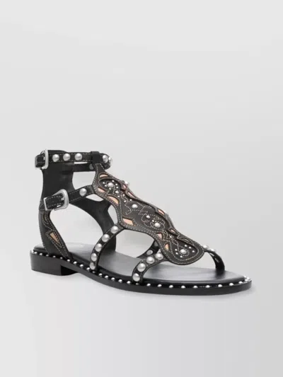 Ash Plaza Cage Sandal In Black